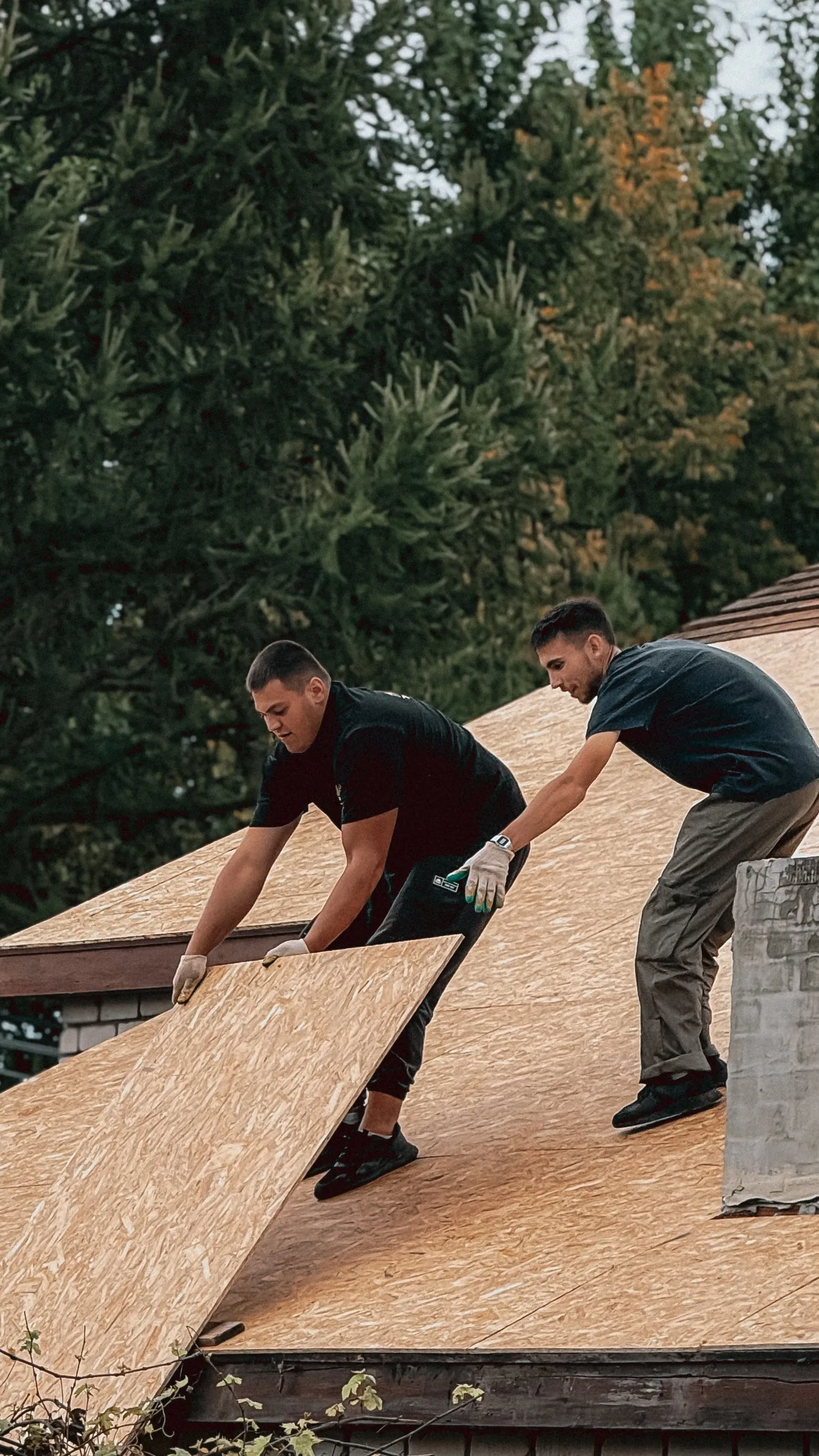 Two roofers laying a sheet of decking across a roof slope